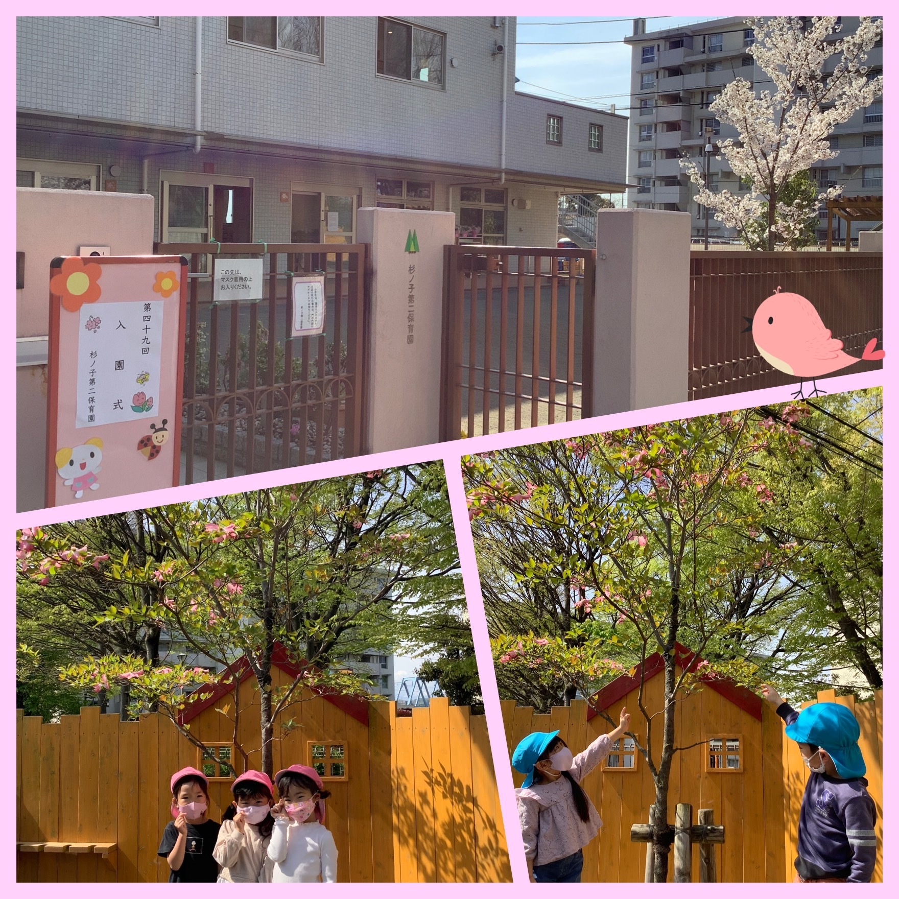 園の様子 社会福祉法人志芳福祉会|福生杉ノ子保育園・杉ノ子第二保育園・杉ノ子第三保育園 園の様子 社会福祉法人志芳福祉会|福生杉ノ子保育園・杉ノ子第二保育園・杉ノ子第三保育園